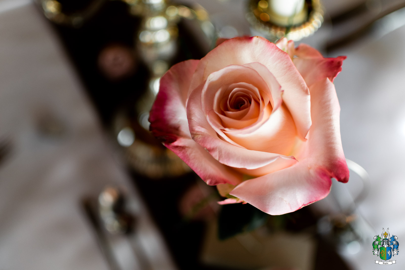 Die Rose als Symbol der Liebe darf bei einem Candle light Dinner natürlich nicht fehlen